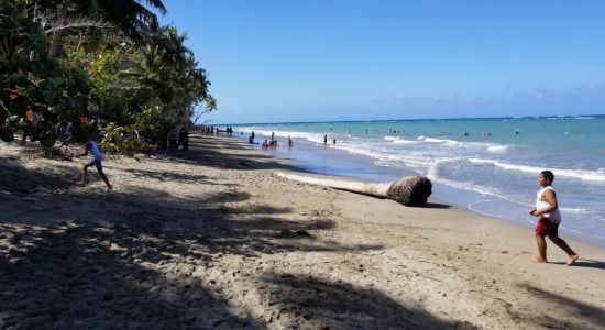 Playa Rogelio