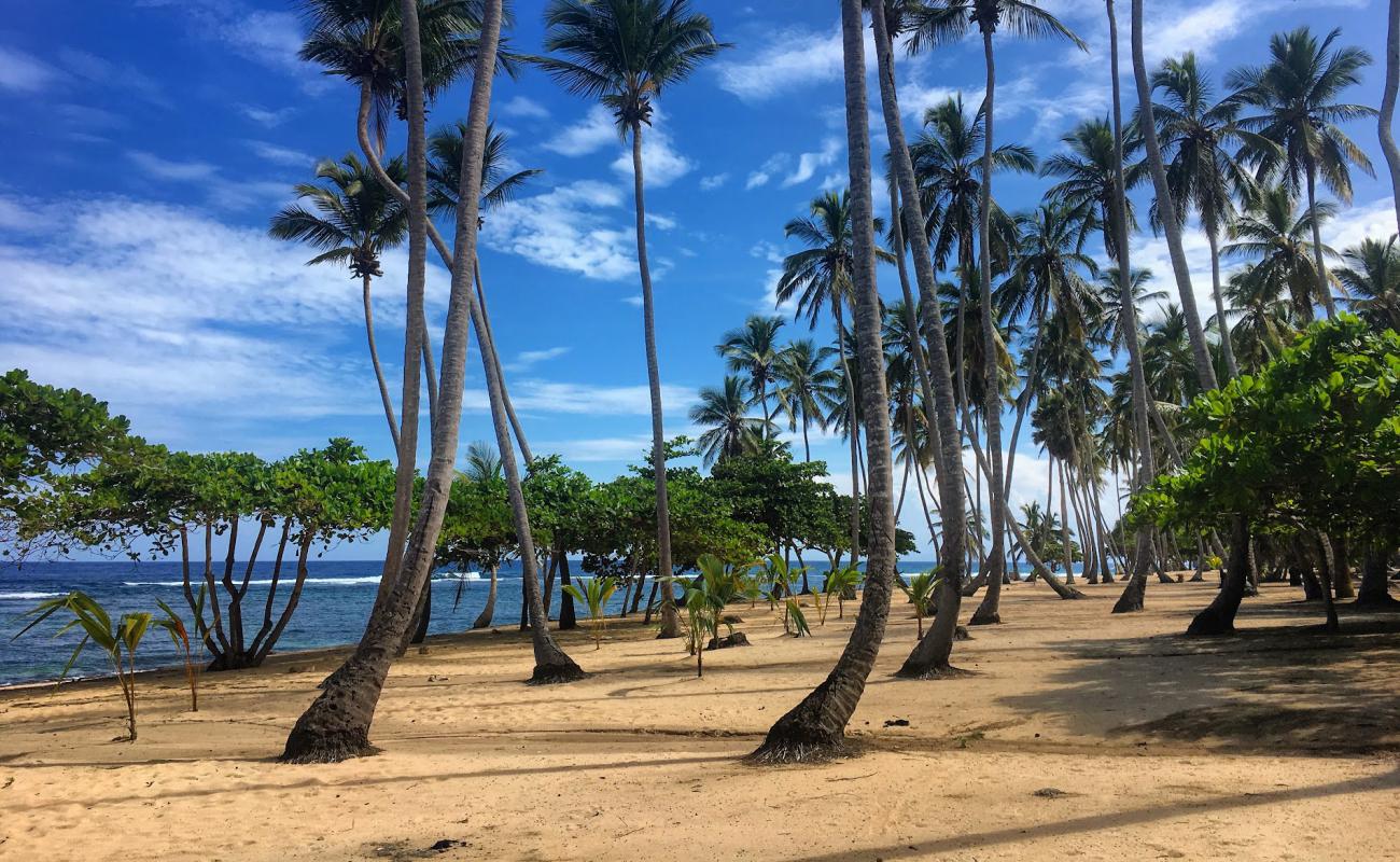 Photo of Playa Caleton Grande with bright sand surface