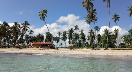 Playa Los Cocos