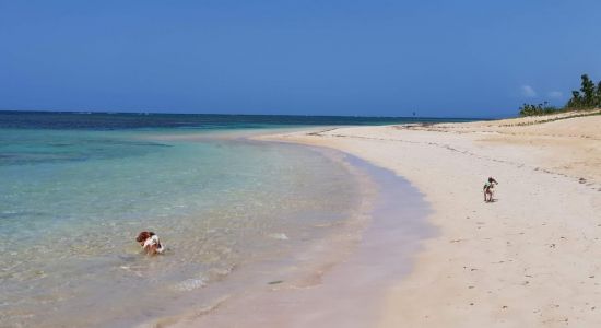 Playa El Portillo