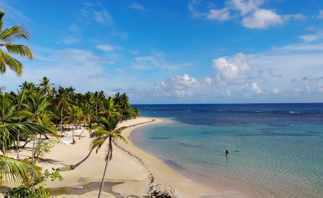 Photo of Calolima Beach with bright fine sand surface