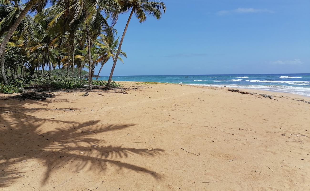 Photo of Playa Lanza del Norte with brown fine sand surface