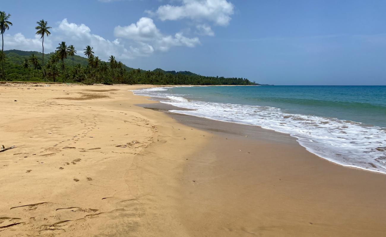 Photo of Playa la Cana with brown fine sand surface