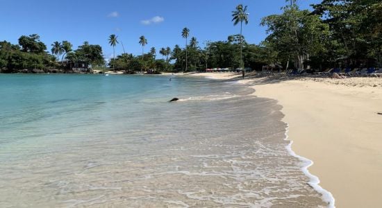 Secret beaches of Dominican Republic