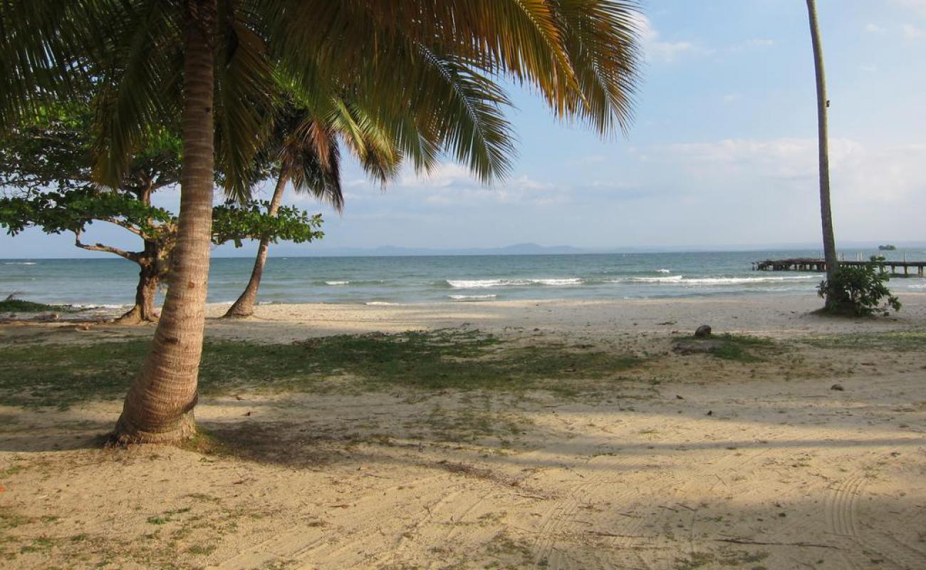 Photo of Playa la pascuala with bright sand surface