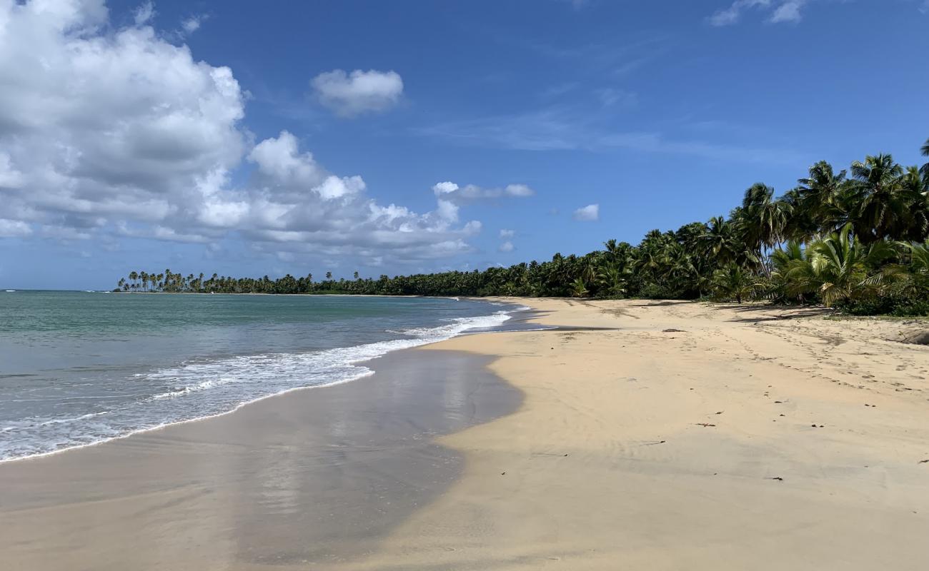 Photo of Playa Costa Esmeralda with bright fine sand surface