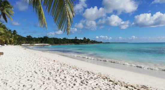 Bavaro Beach