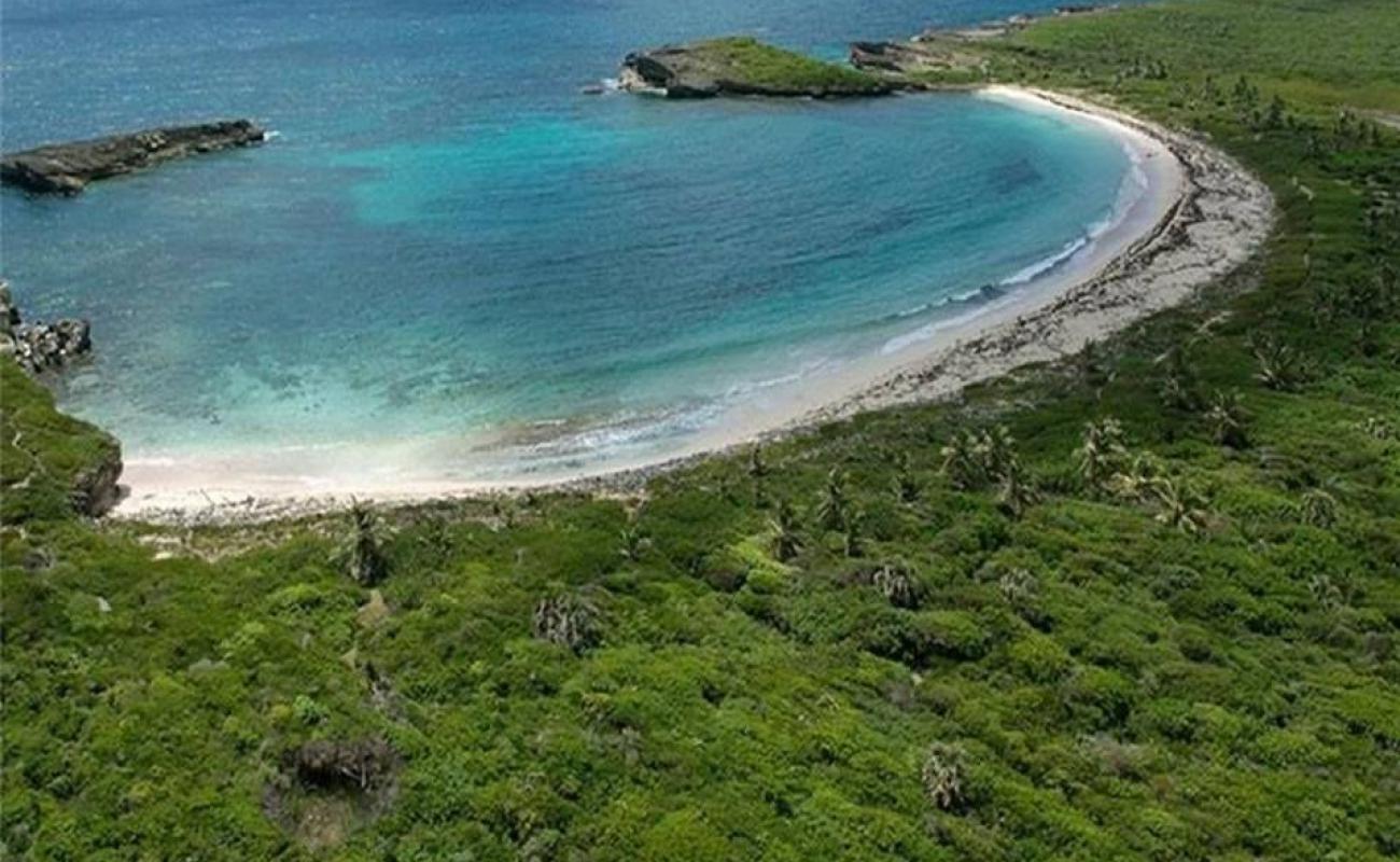 Photo of Guanabano beach with bright fine sand surface