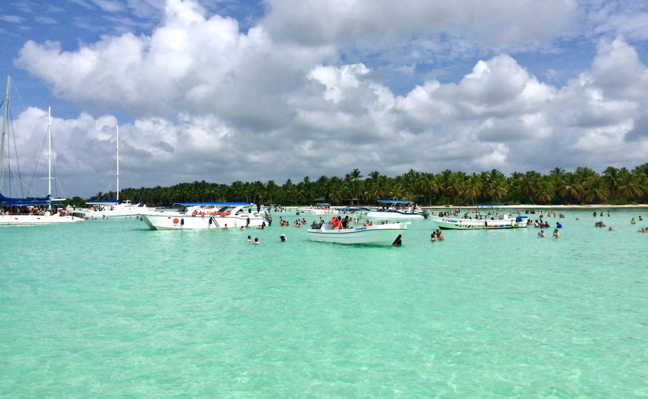 Photo of Saona beach with bright fine sand surface