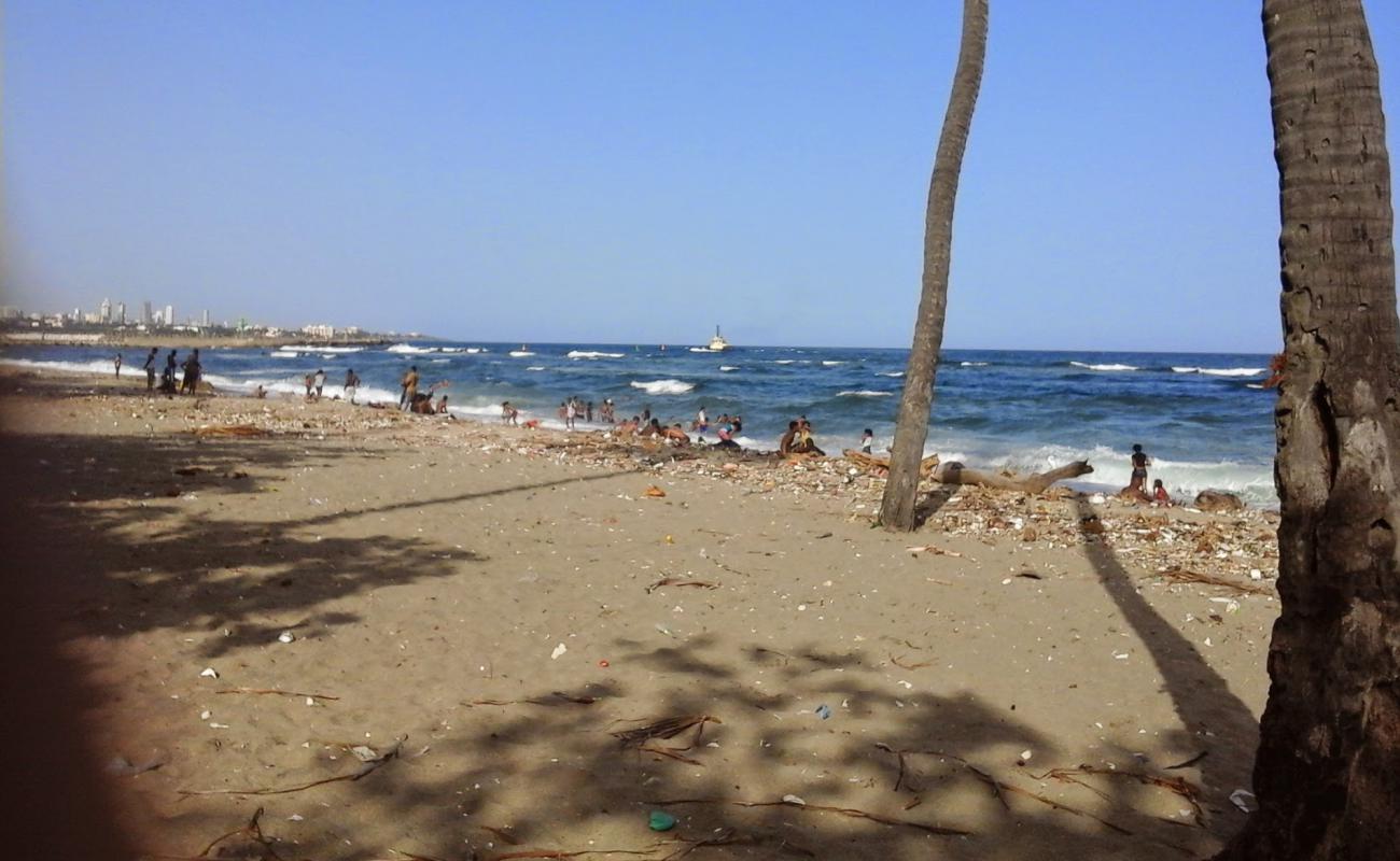 Photo of Gringo beach with gray sand surface