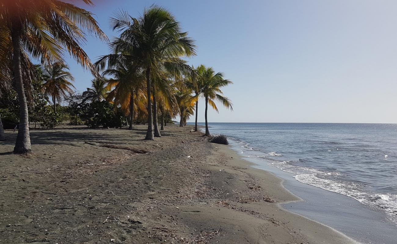 Photo of Playa Punta Salinas with gray sand surface