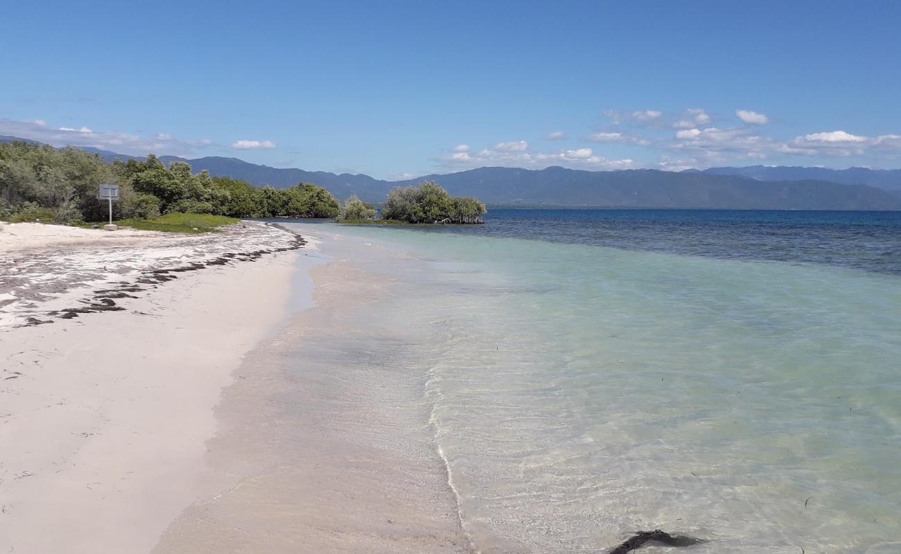 Photo of Uvita beach with bright fine sand surface