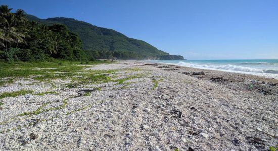 Punta Arena beach