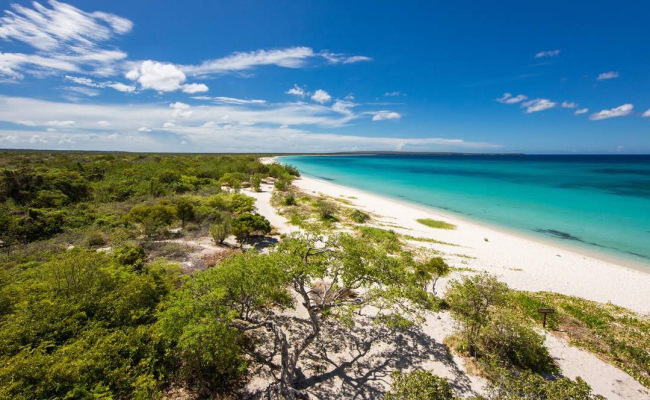 Photo of Eagles Bay beach with bright fine sand surface