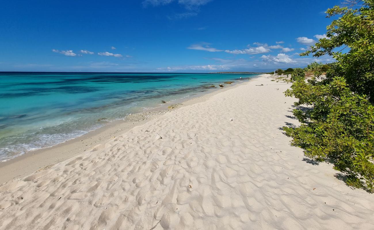 Photo of La Cueva beach with bright fine sand surface