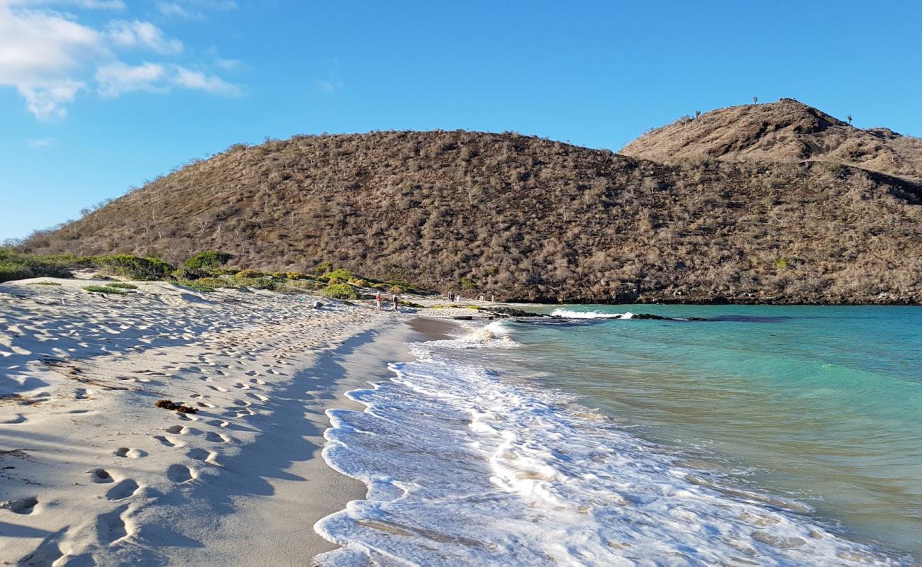 Photo of Punta Cormorant with bright sand surface