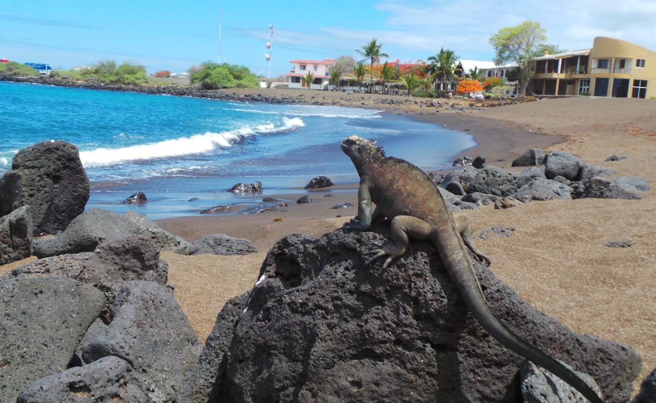 Photo of Playa Negra with black sand surface