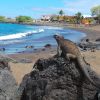 Playa Negra