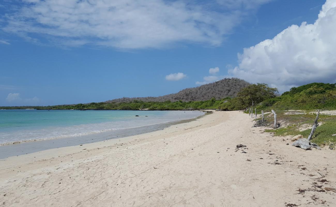 Photo of Playa El Garrapatero with bright sand surface