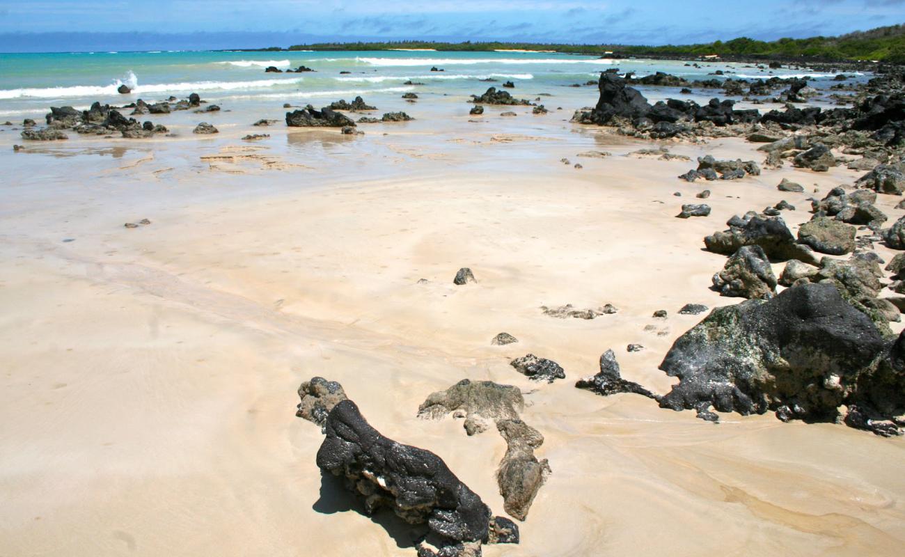 Photo of Garrapatero Beach with bright sand surface