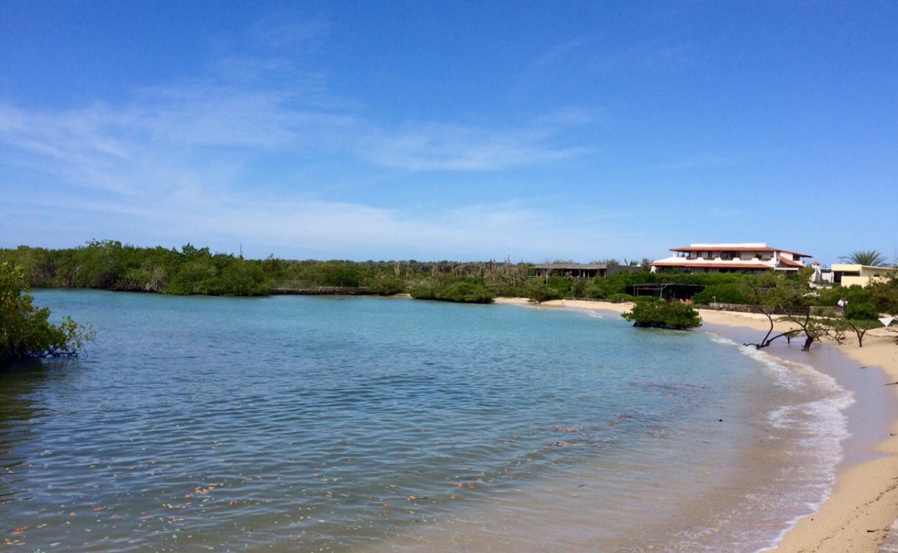 Photo of Playa los alemanes with bright sand surface