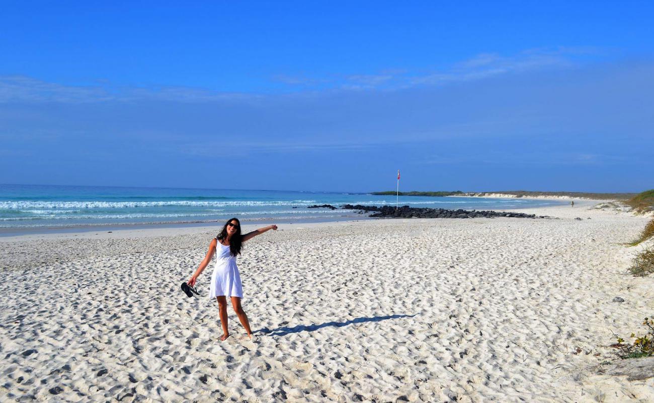 Photo of Tortuga Bay Galapagos with white fine sand surface