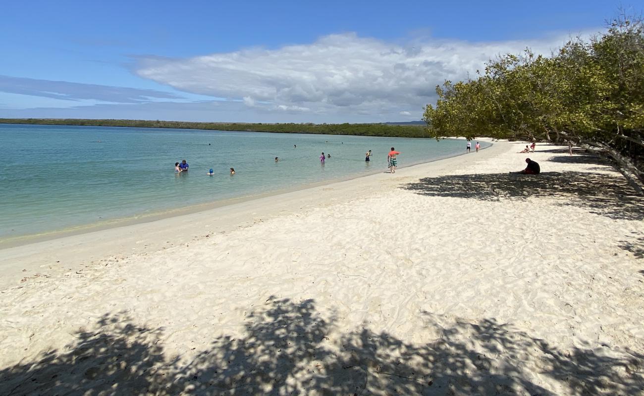 Photo of Tortuga Laguna Beach with white fine sand surface