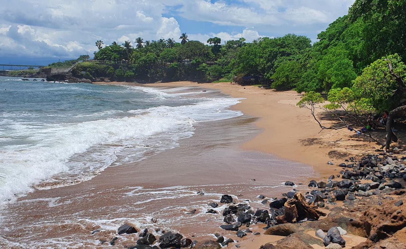 Photo of Flowers Beach with brown sand surface