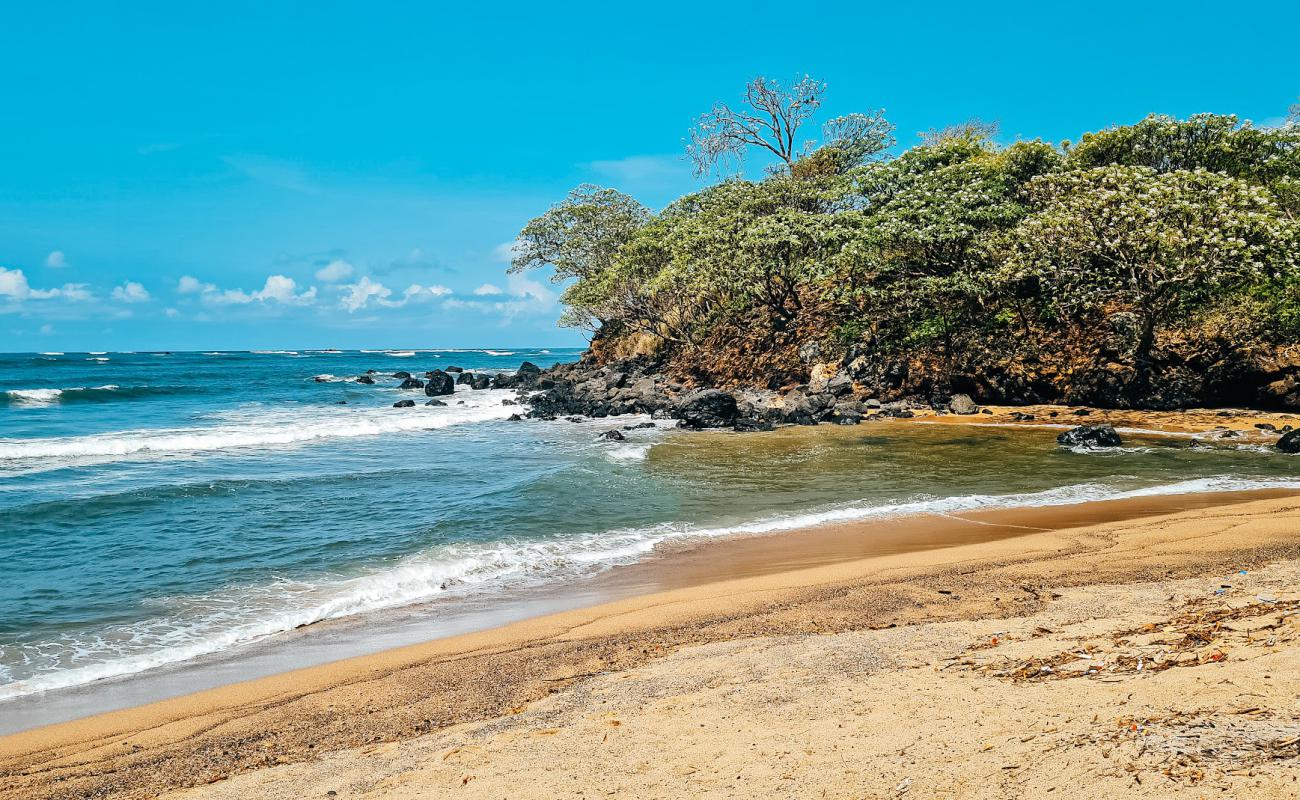 Photo of El Flor Beach with bright sand & rocks surface