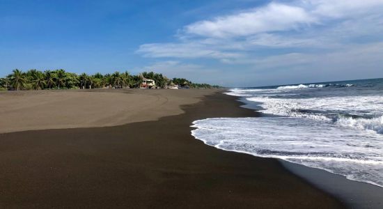 Playa de Monterrico