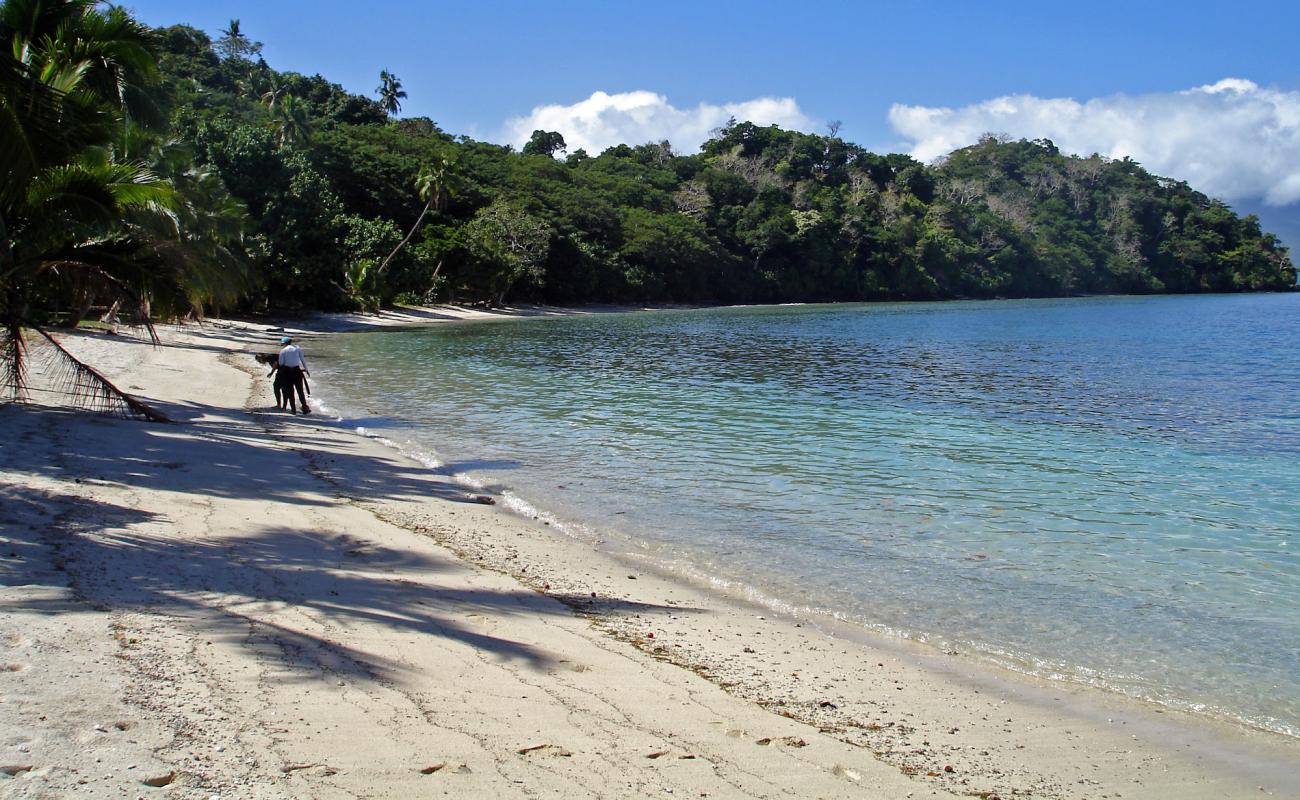 Photo of Waitatavi Bay Beach with white sand surface