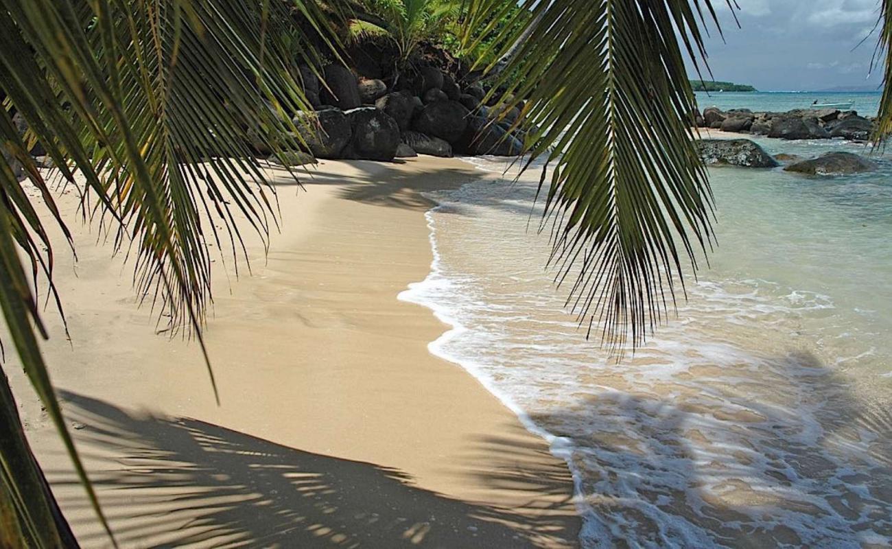 Photo of Taveuni Beach with bright fine sand surface