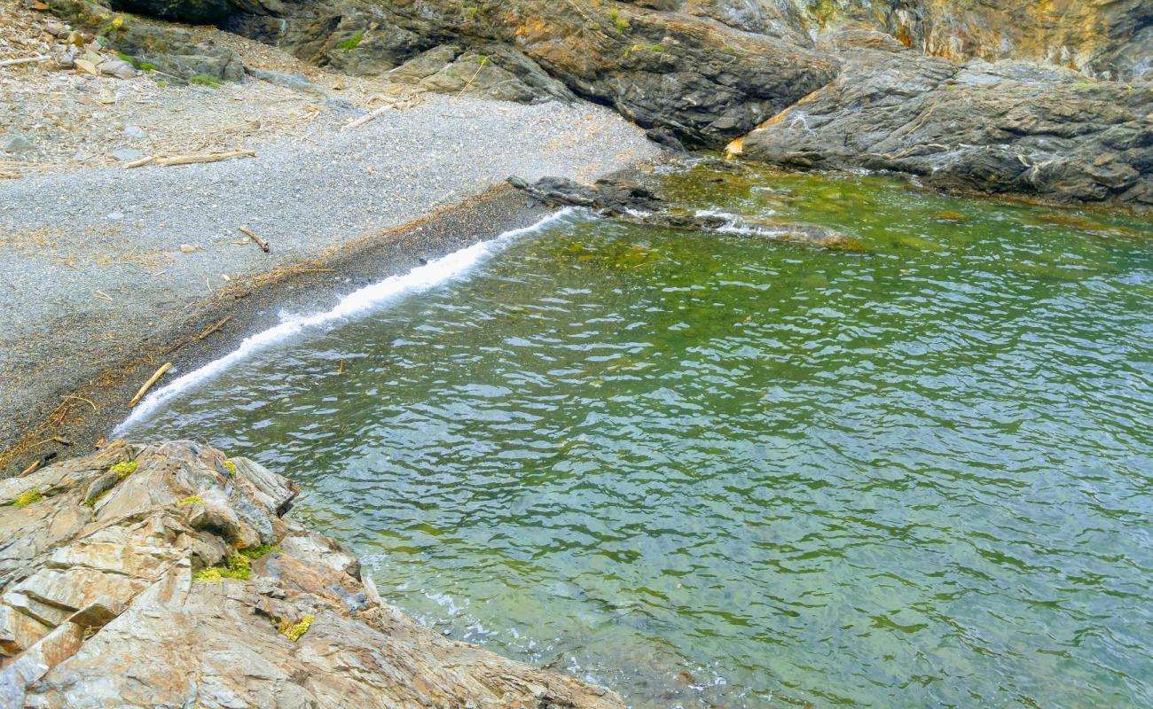 Photo of Cap Canadel beach with rocks cover surface