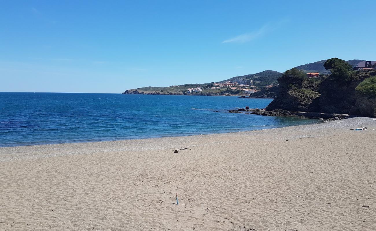 Photo of Sana beach with light sand &  pebble surface