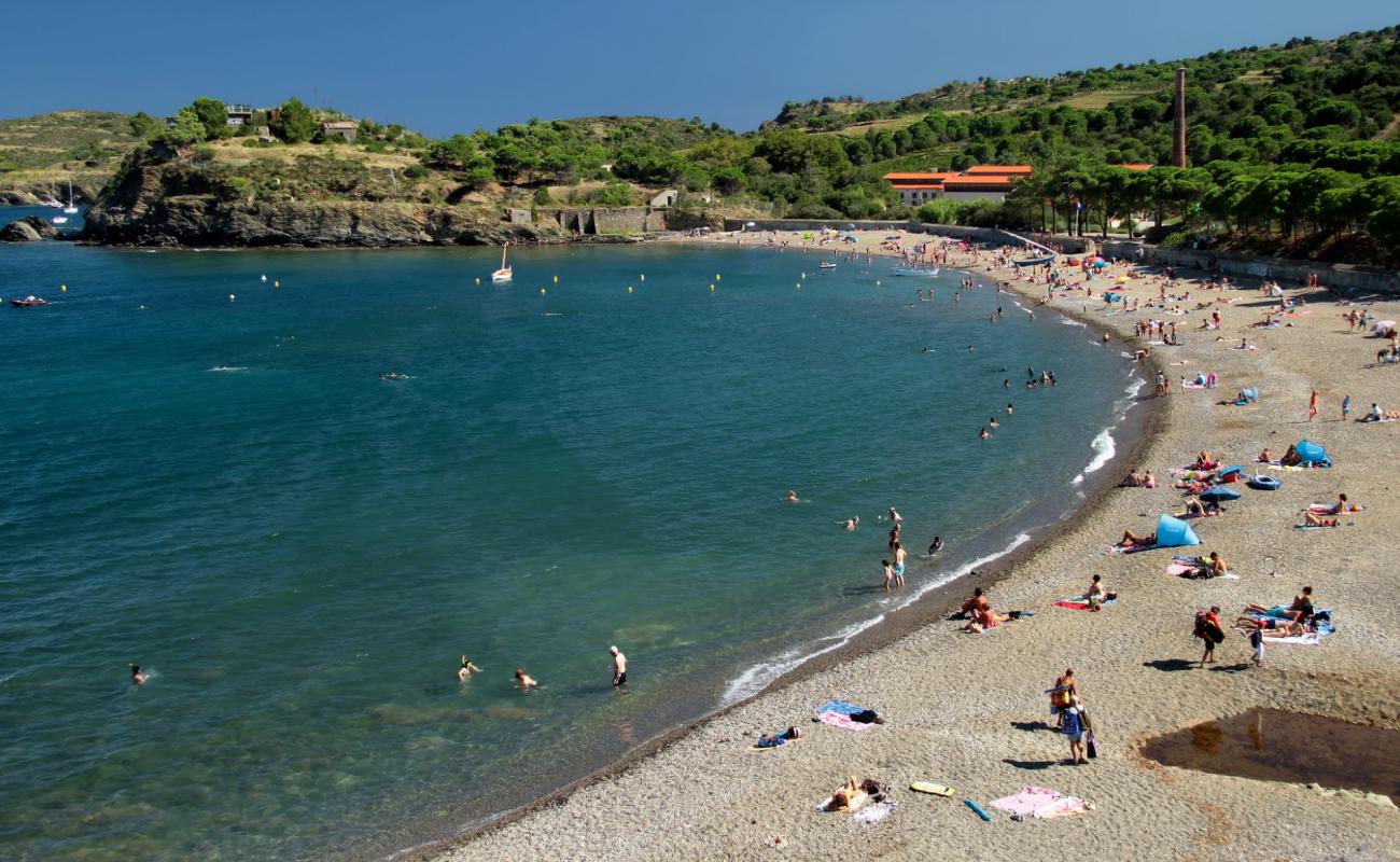 Photo of Paulilles beach with light fine pebble surface