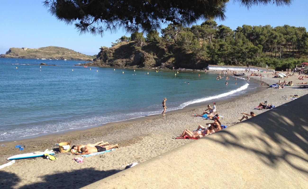 Photo of Bernardi beach with light fine pebble surface