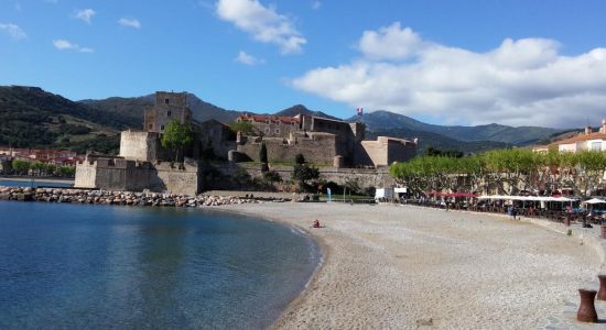 Collioure Beach