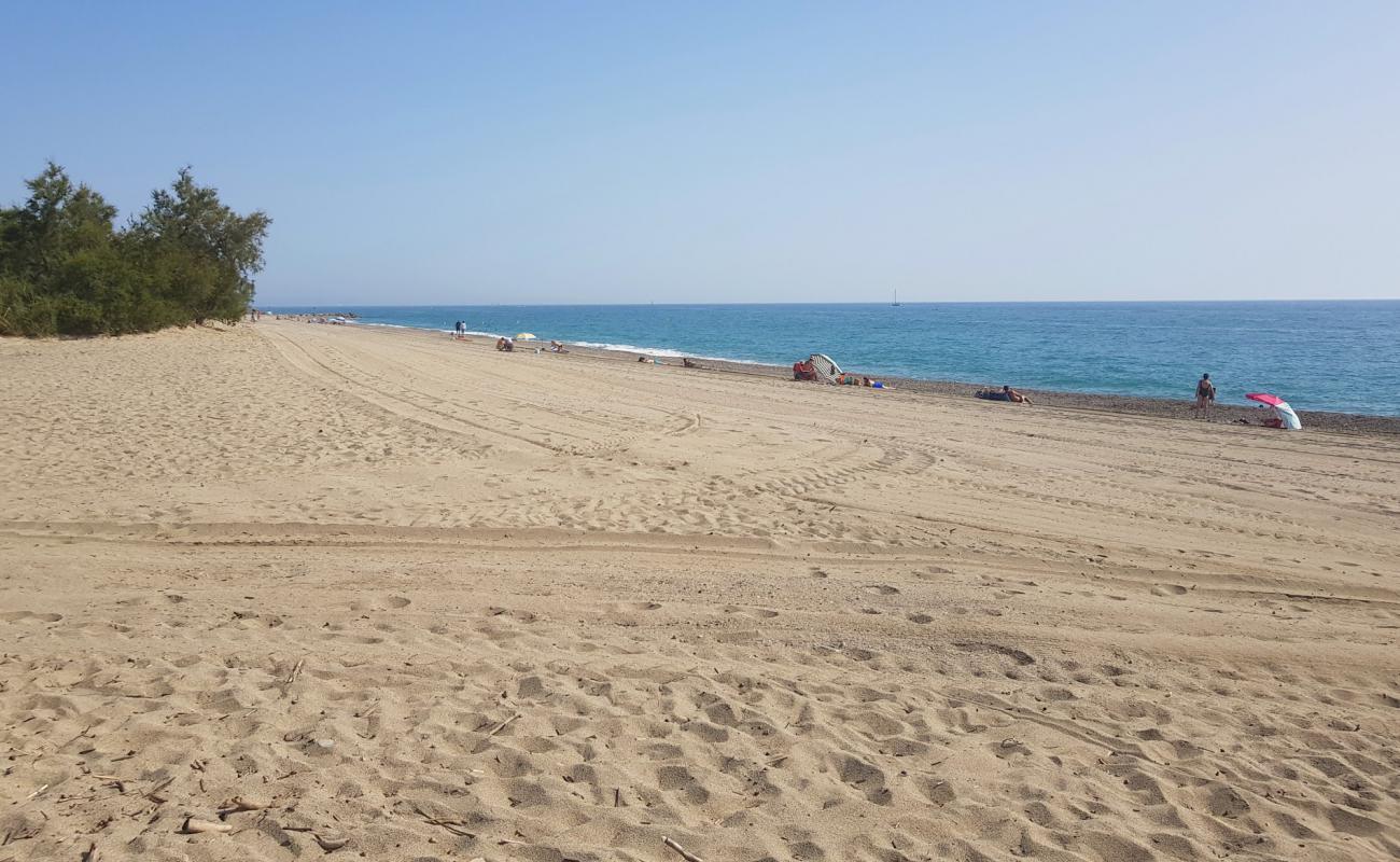 Photo of Saint Cyprien beach with bright fine sand surface