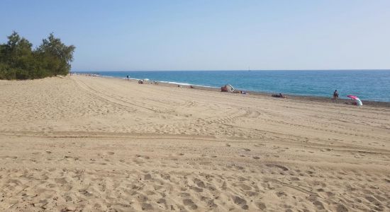 Saint Cyprien beach