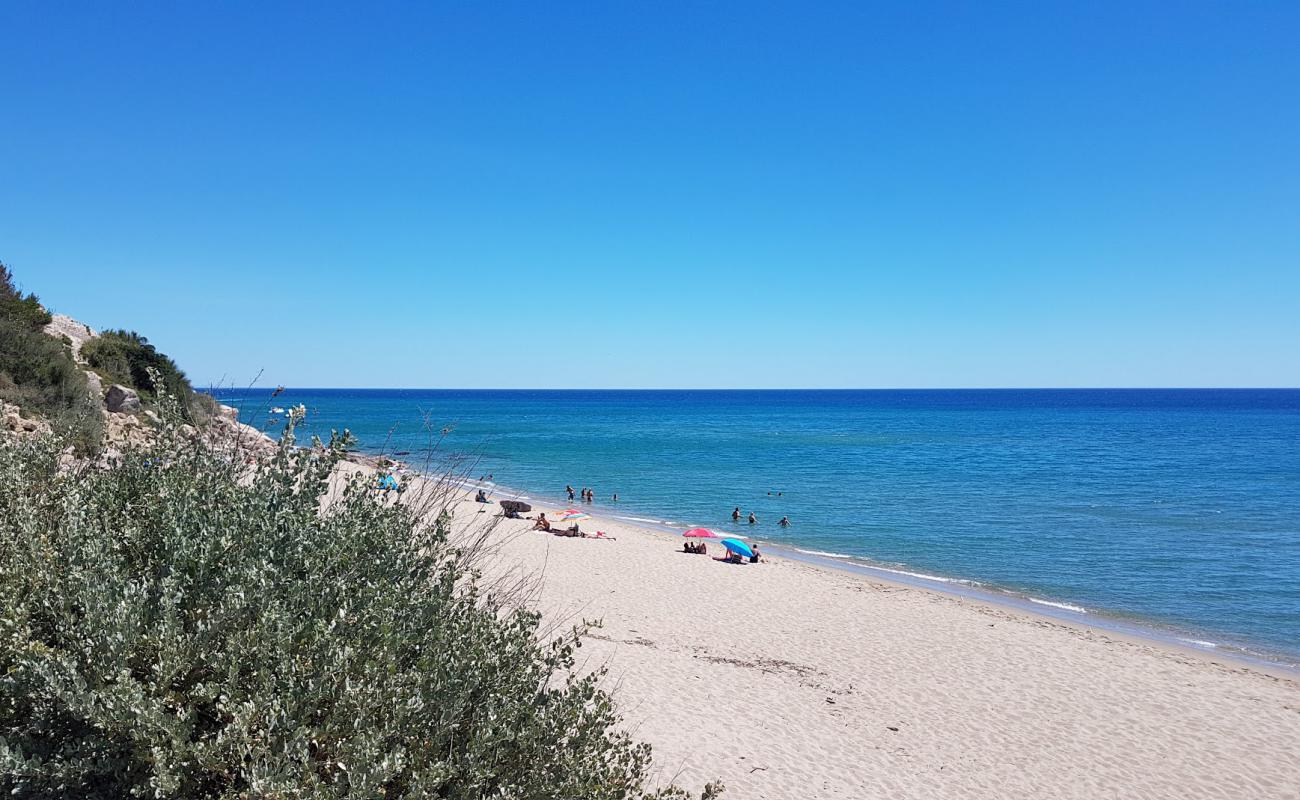 Photo of Leucate beach with bright fine sand surface