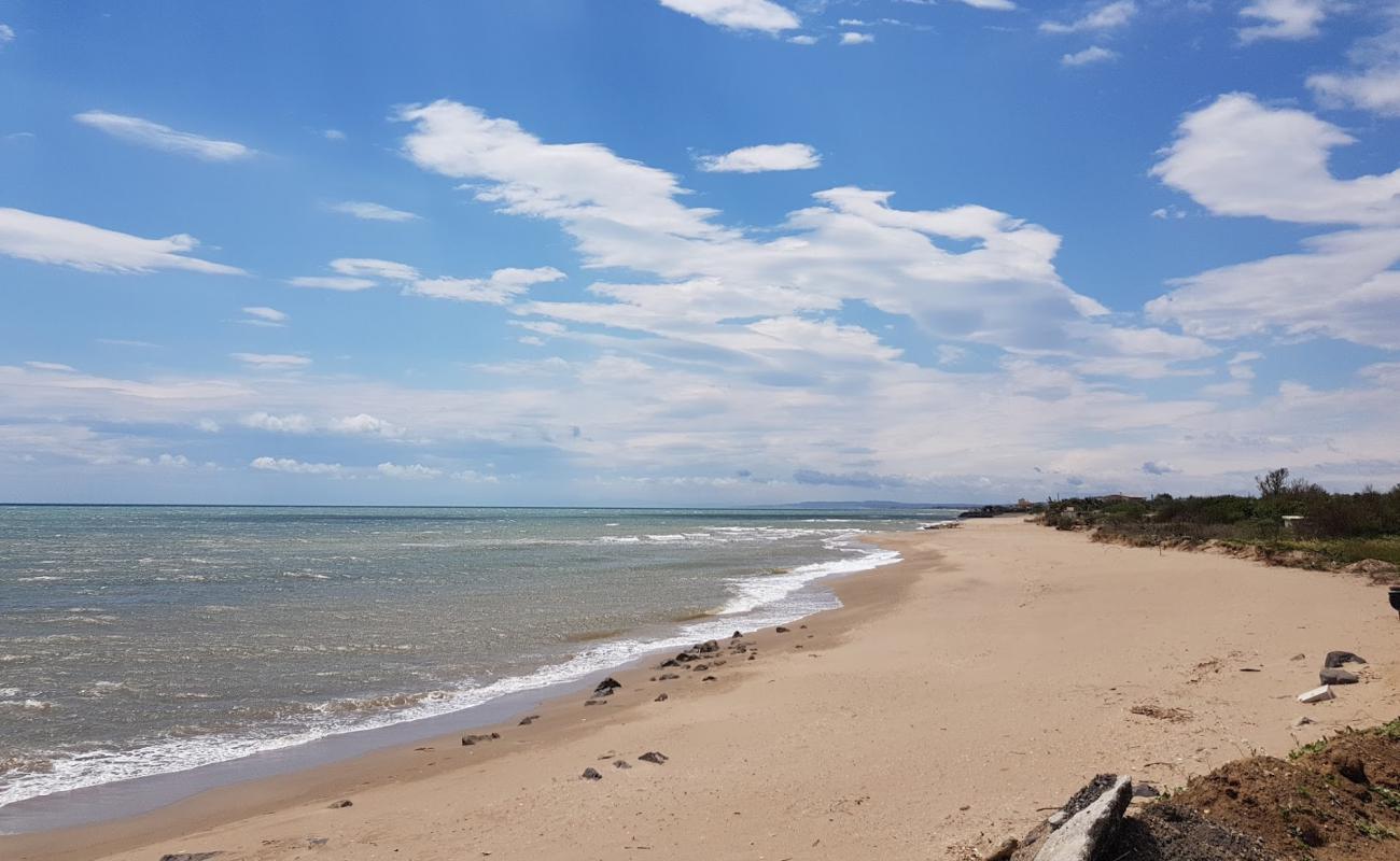 Photo of Turtle beach with bright fine sand surface