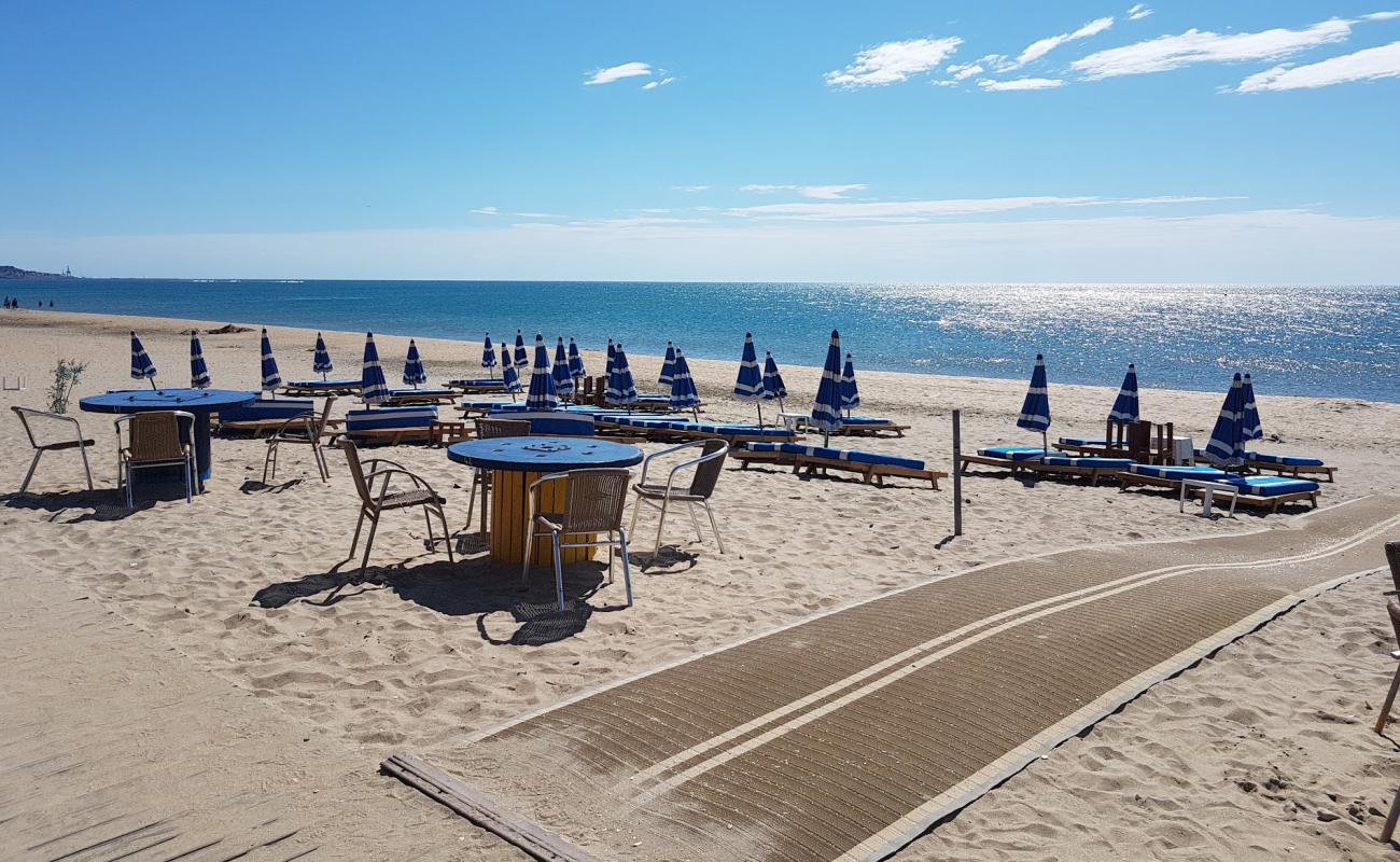 Photo of Whale Beach with bright fine sand surface