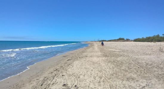 Aresquiers beach