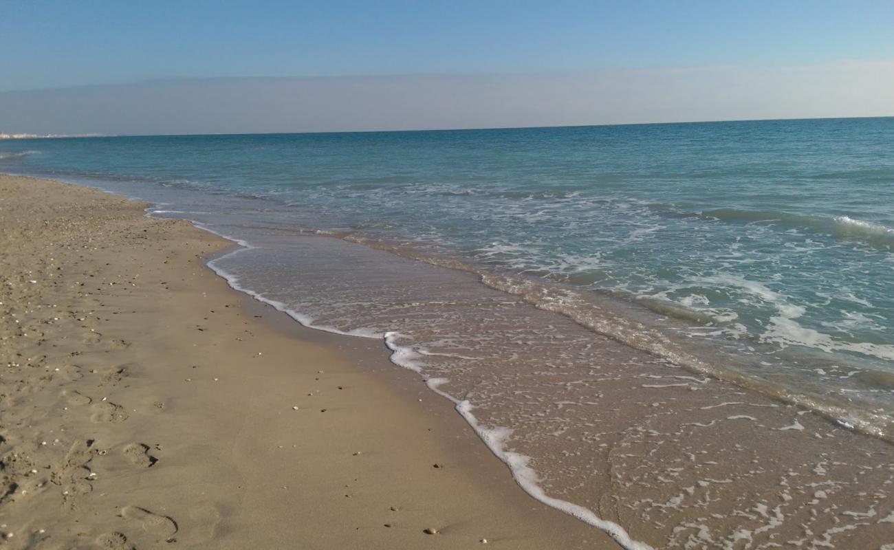 Photo of Maguelone beach with bright sand surface