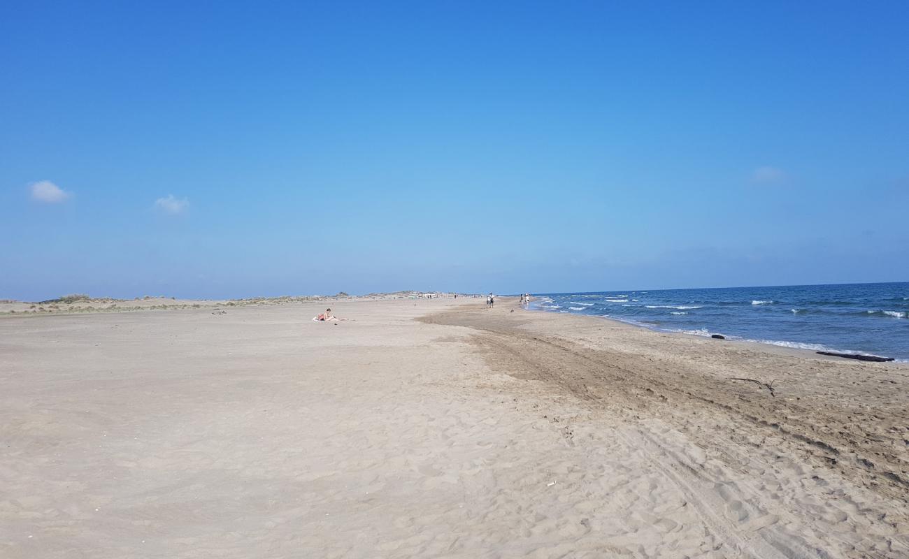 Photo of Espiguette Beach with bright fine sand surface