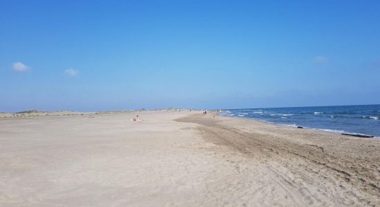 Espiguette Beach