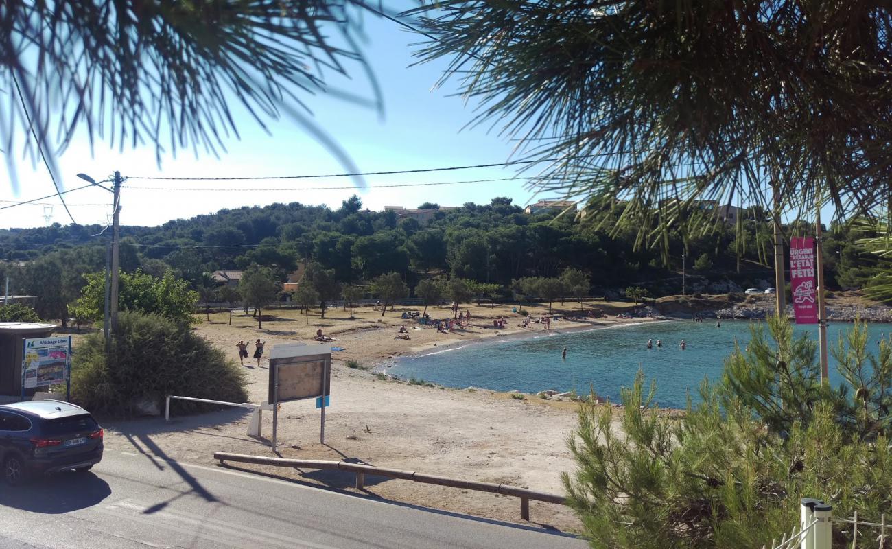 Photo of Laurons beach with bright sand surface