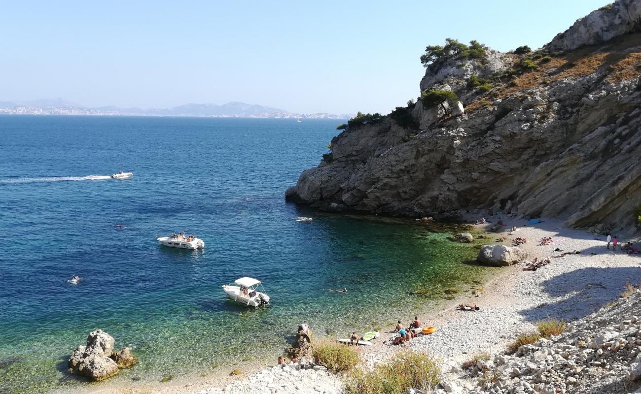 Photo of Pointe de Figuerolles with light pebble surface