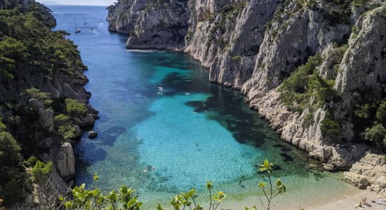 Calanque d'En-Vau beach