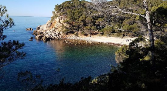 Plage des Engraviers